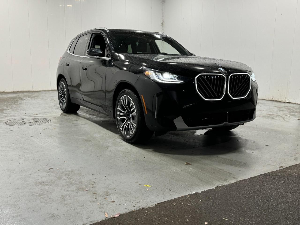 BMW X3 Vehicle Full-screen Gallery Image 6