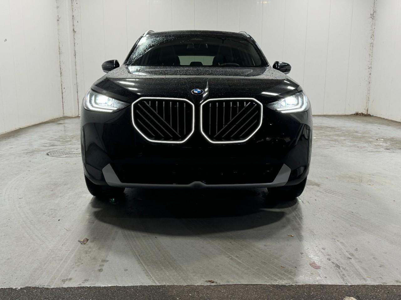 BMW X3 Vehicle Full-screen Gallery Image 7