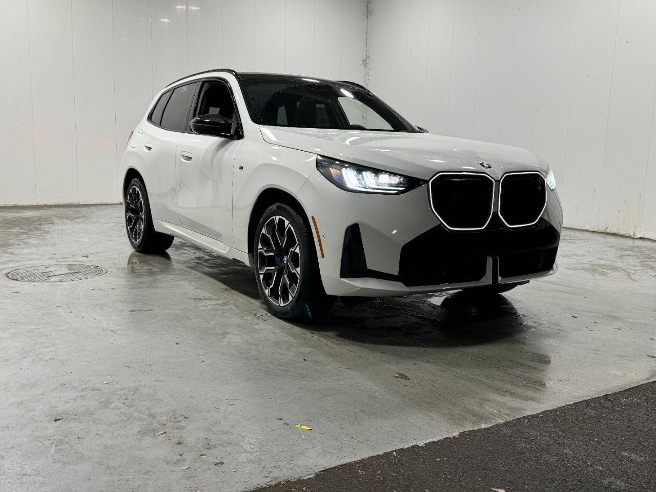 BMW X3 Vehicle Full-screen Gallery Image 6