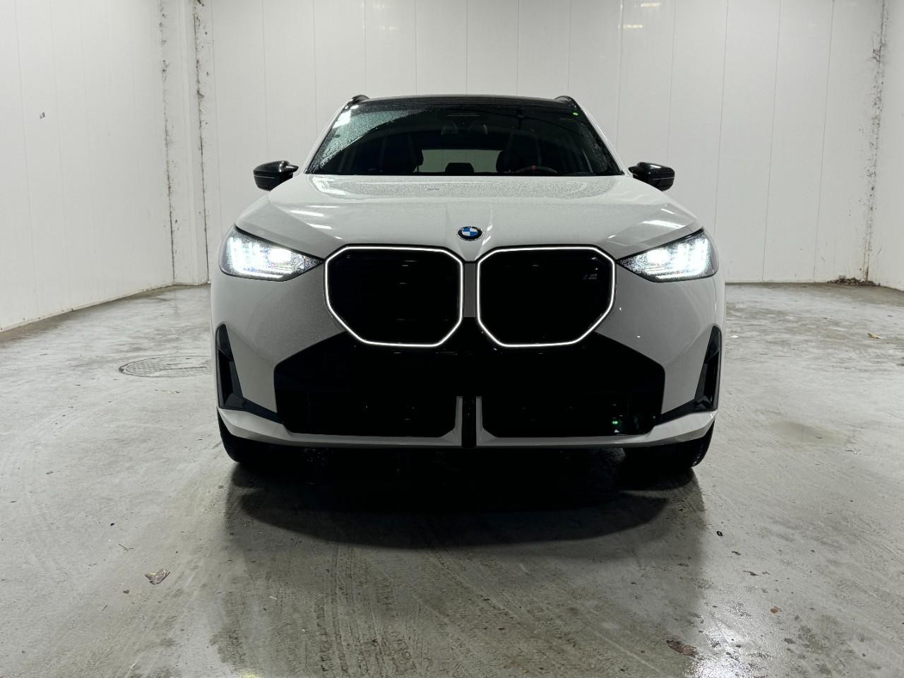 BMW X3 Vehicle Full-screen Gallery Image 7