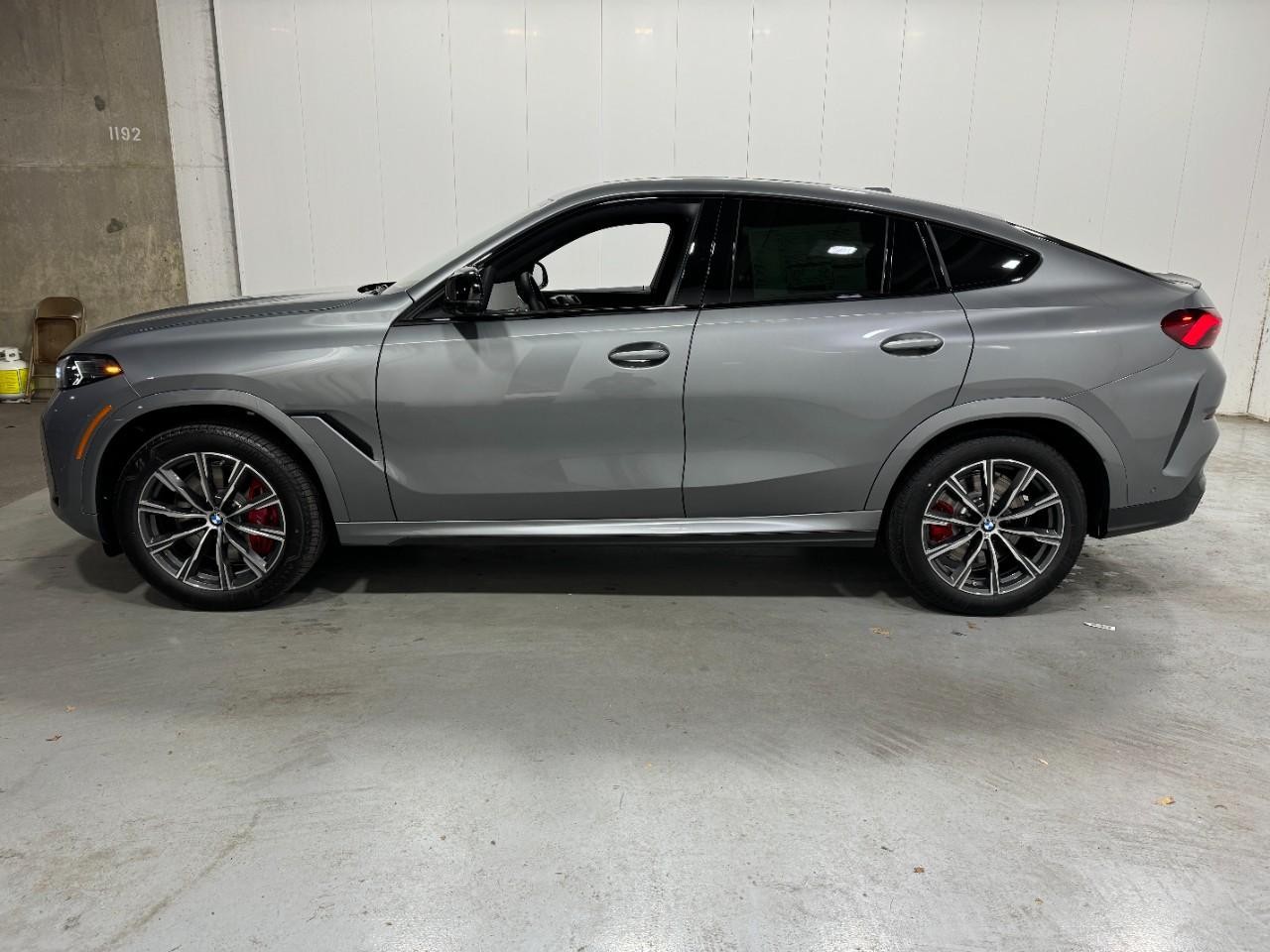 BMW X6 Vehicle Full-screen Gallery Image 2