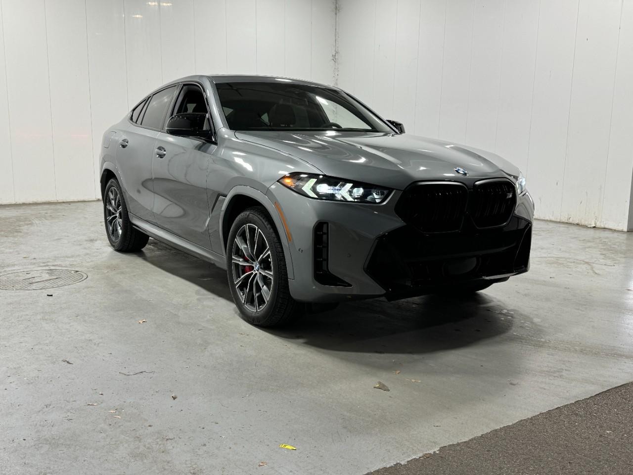 BMW X6 Vehicle Full-screen Gallery Image 6