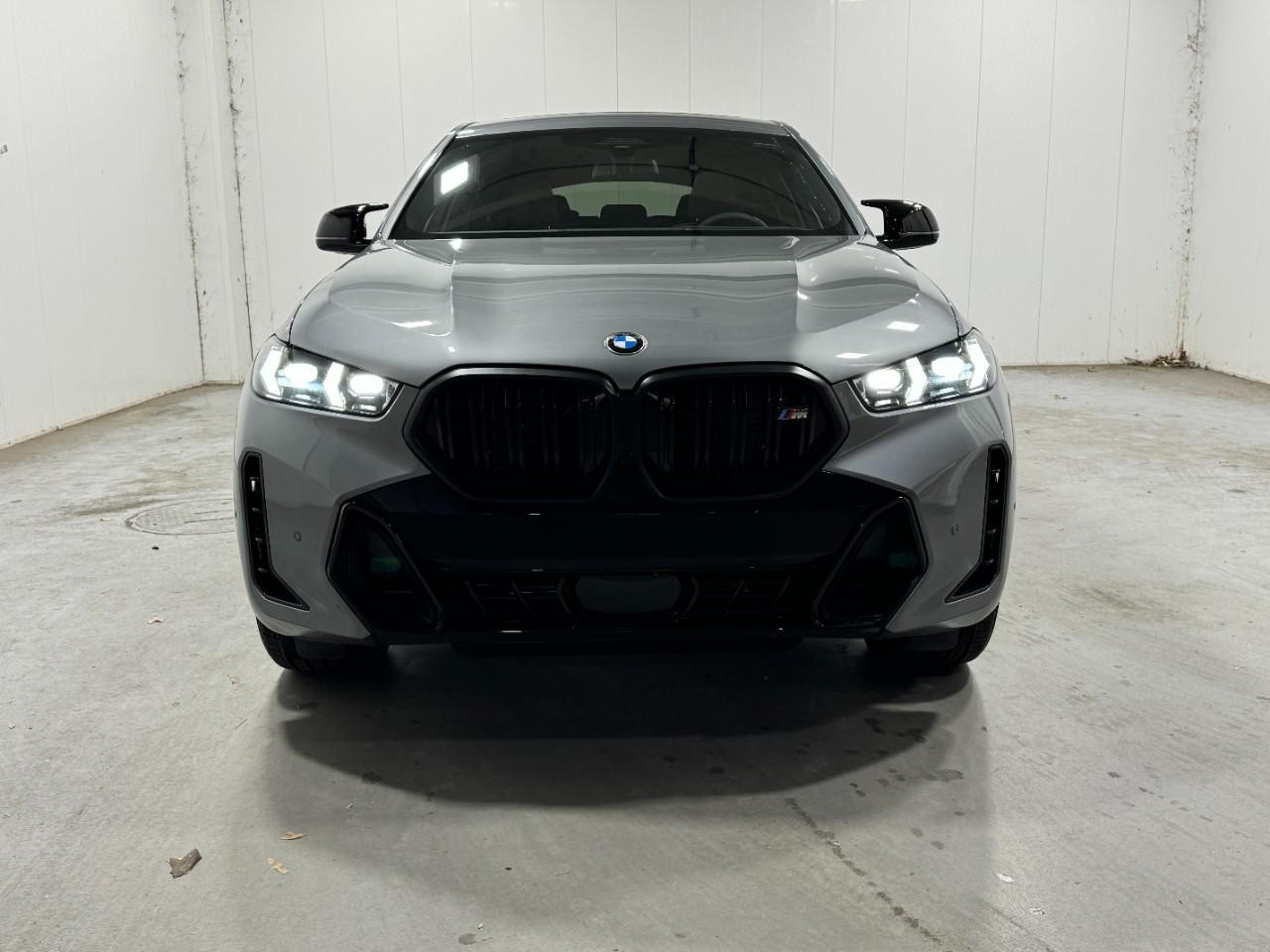 BMW X6 Vehicle Full-screen Gallery Image 7