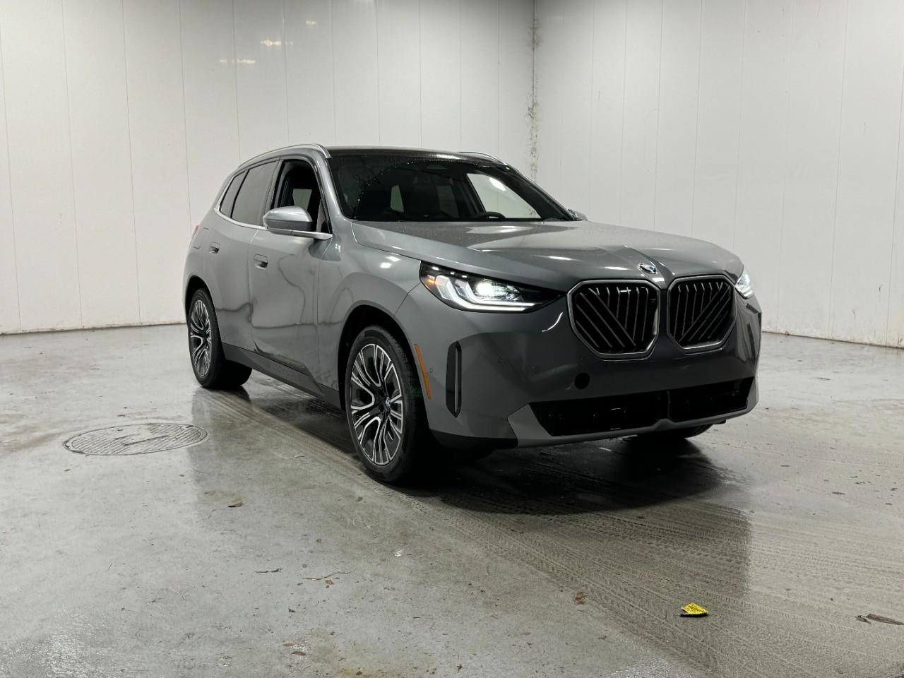 BMW X3 Vehicle Full-screen Gallery Image 6