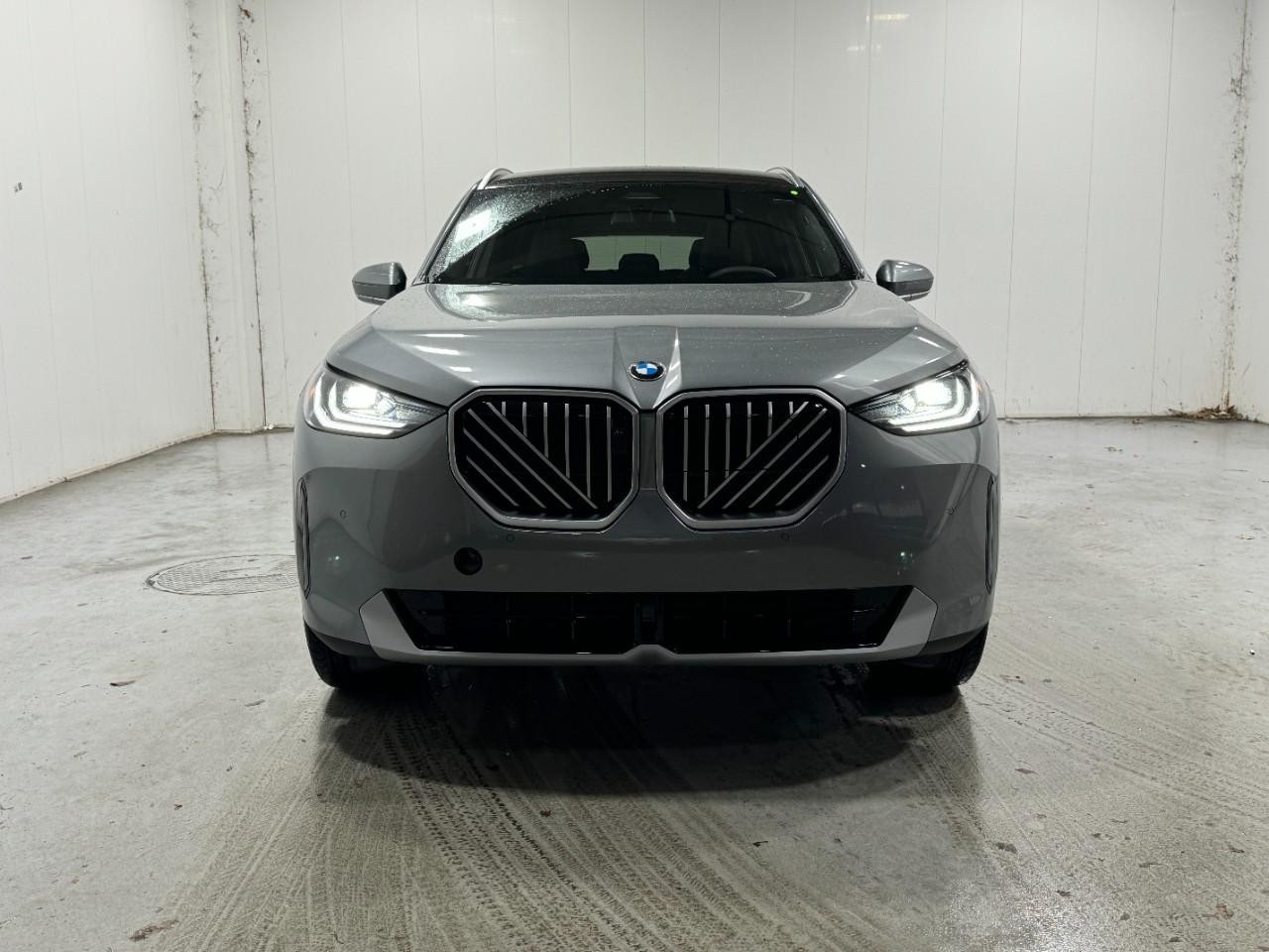 BMW X3 Vehicle Full-screen Gallery Image 7