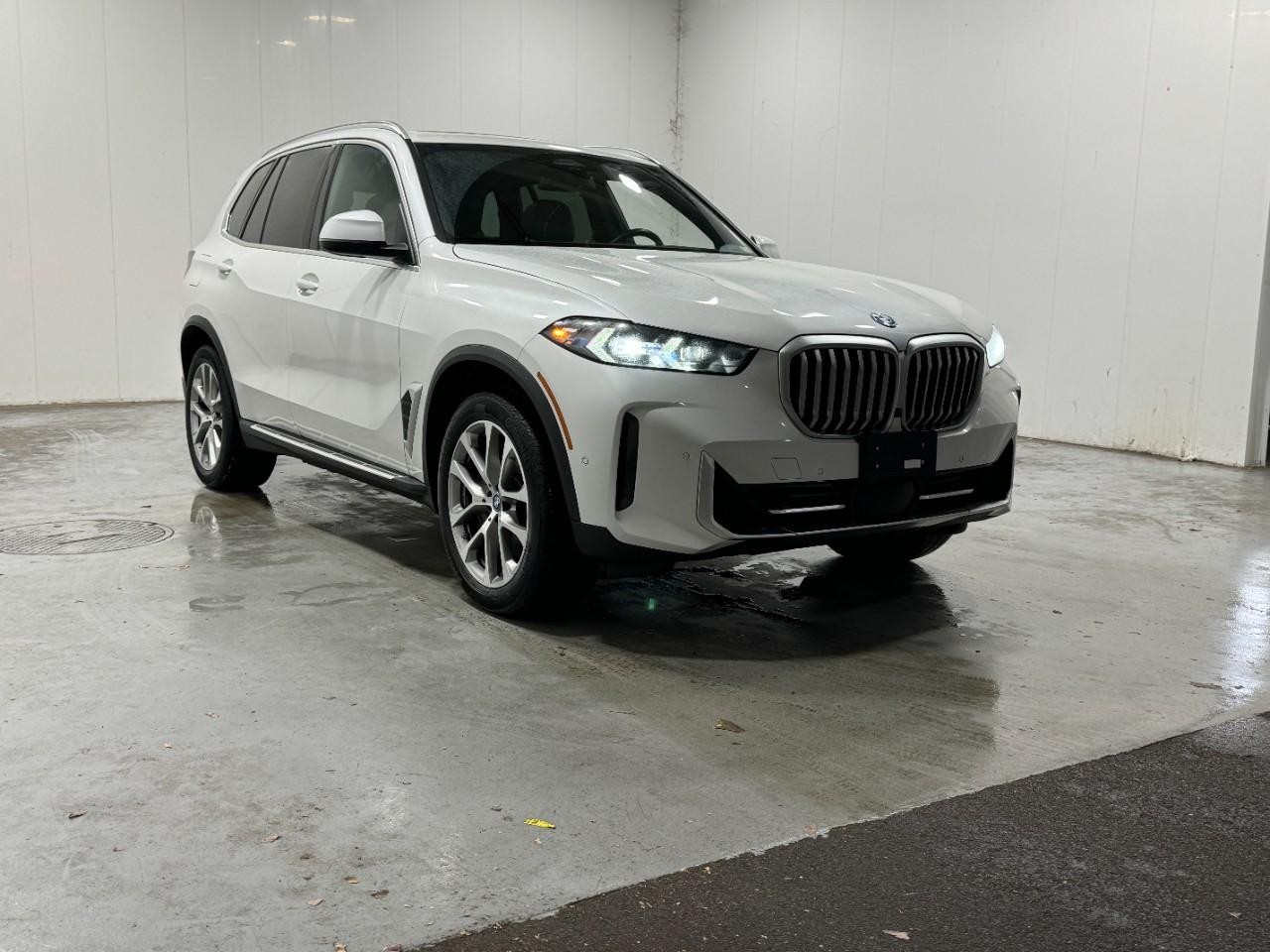 BMW X5 Vehicle Full-screen Gallery Image 6