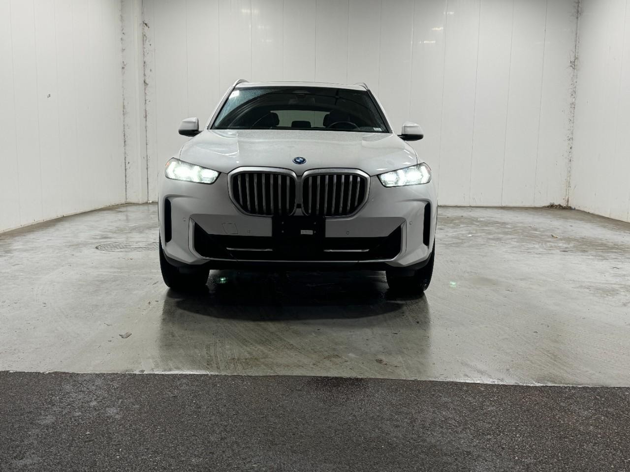 BMW X5 Vehicle Full-screen Gallery Image 7