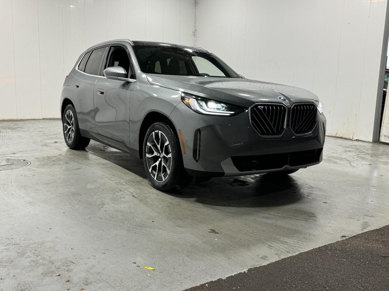 BMW X3 Vehicle Full-screen Gallery Image 6