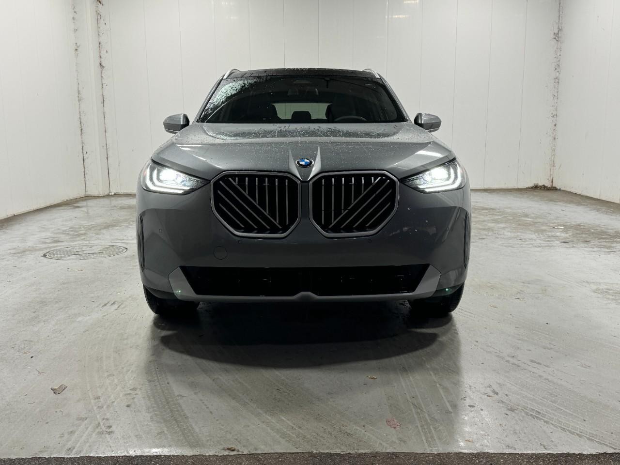 BMW X3 Vehicle Full-screen Gallery Image 7