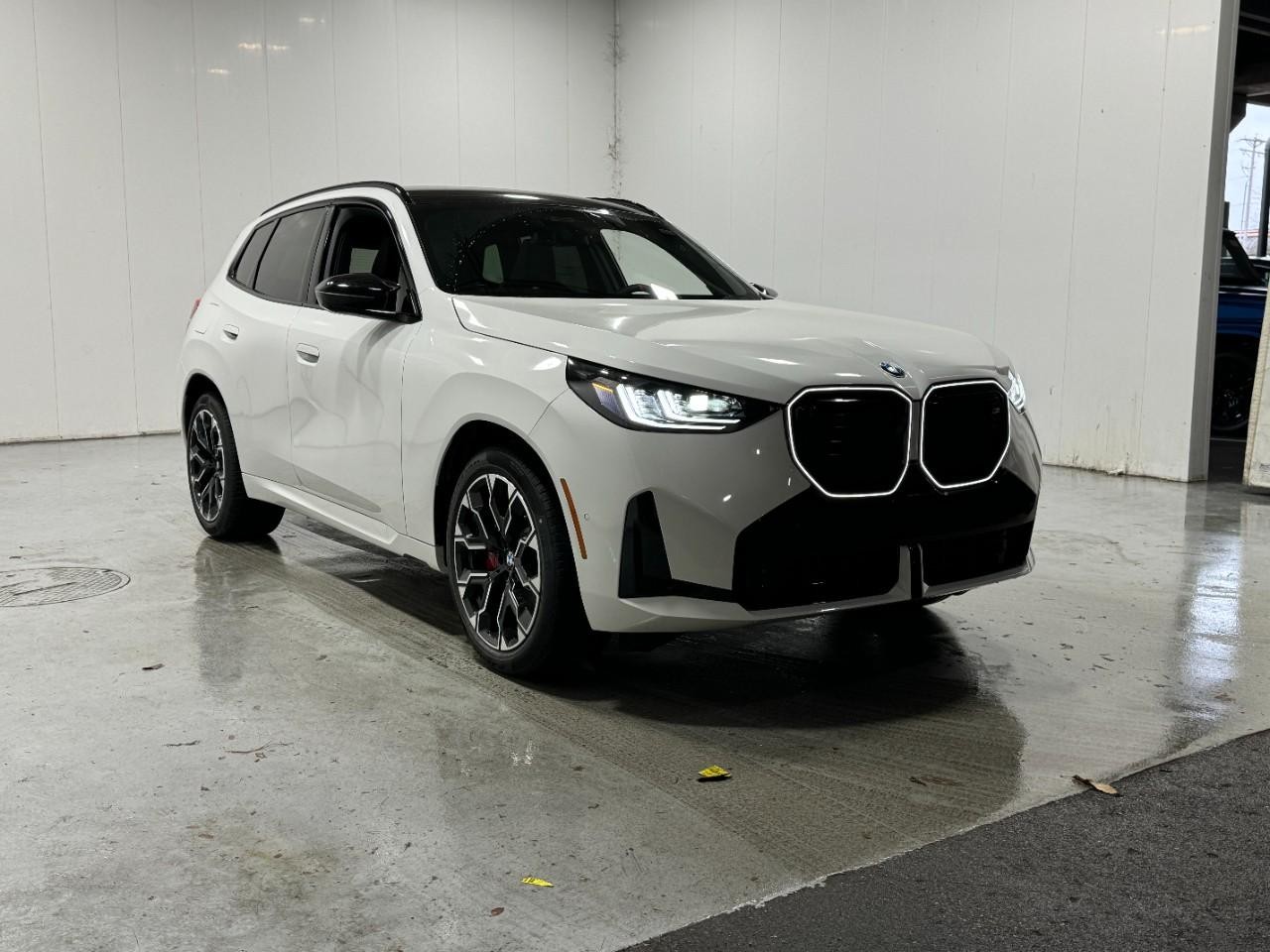 BMW X3 Vehicle Full-screen Gallery Image 6