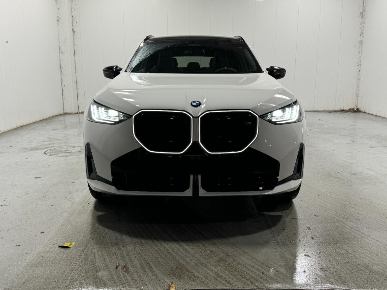 BMW X3 Vehicle Full-screen Gallery Image 7