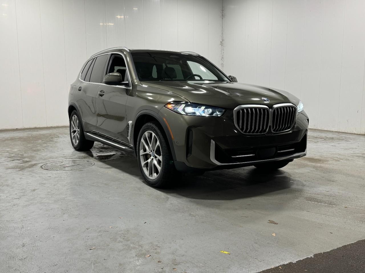 BMW X5 Vehicle Full-screen Gallery Image 6