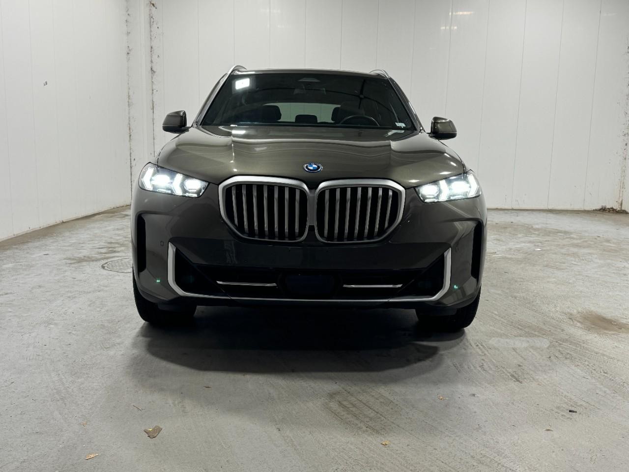BMW X5 Vehicle Full-screen Gallery Image 7