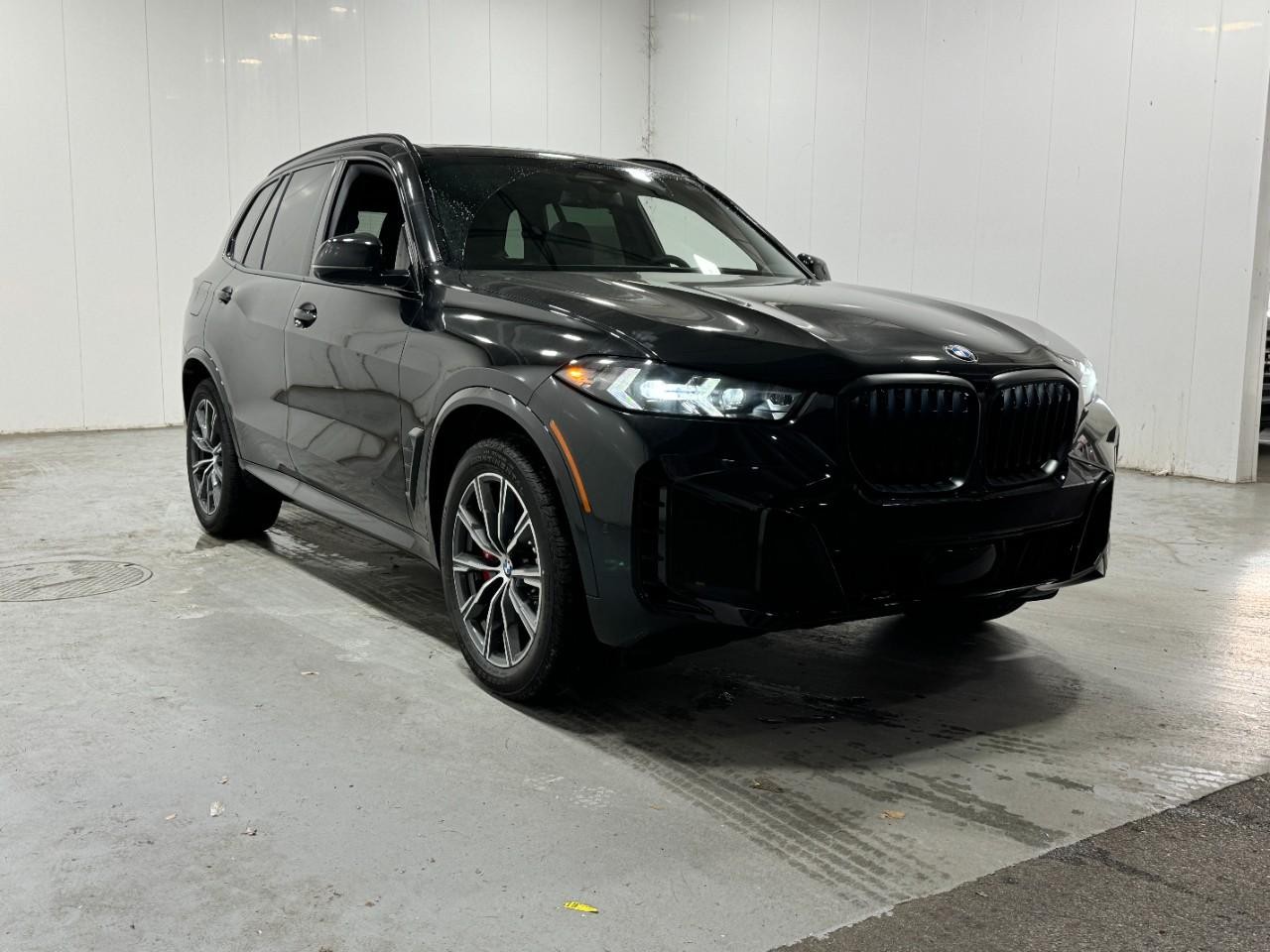 BMW X5 Vehicle Full-screen Gallery Image 6