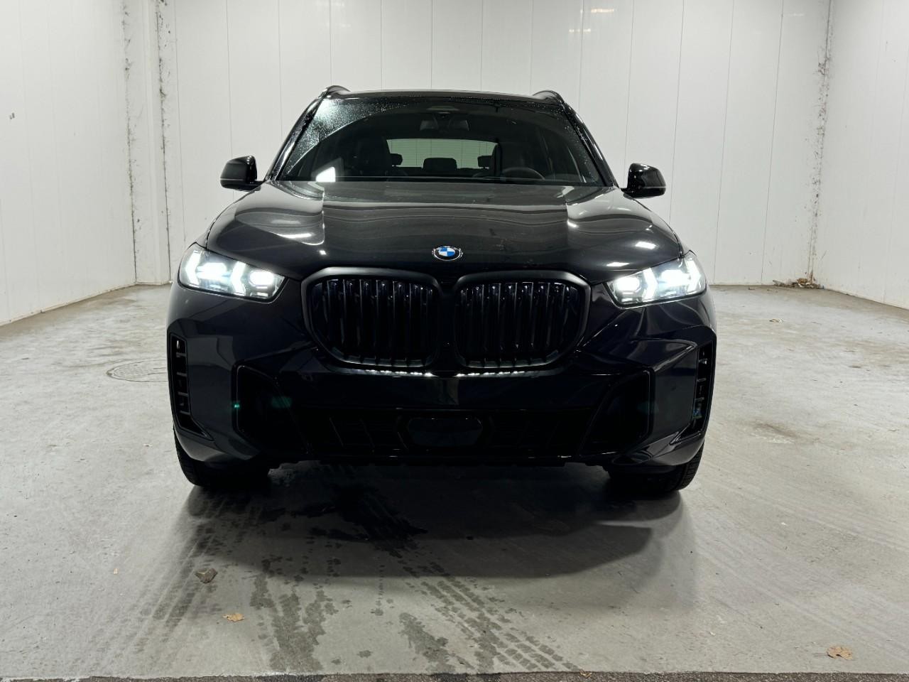 BMW X5 Vehicle Full-screen Gallery Image 7
