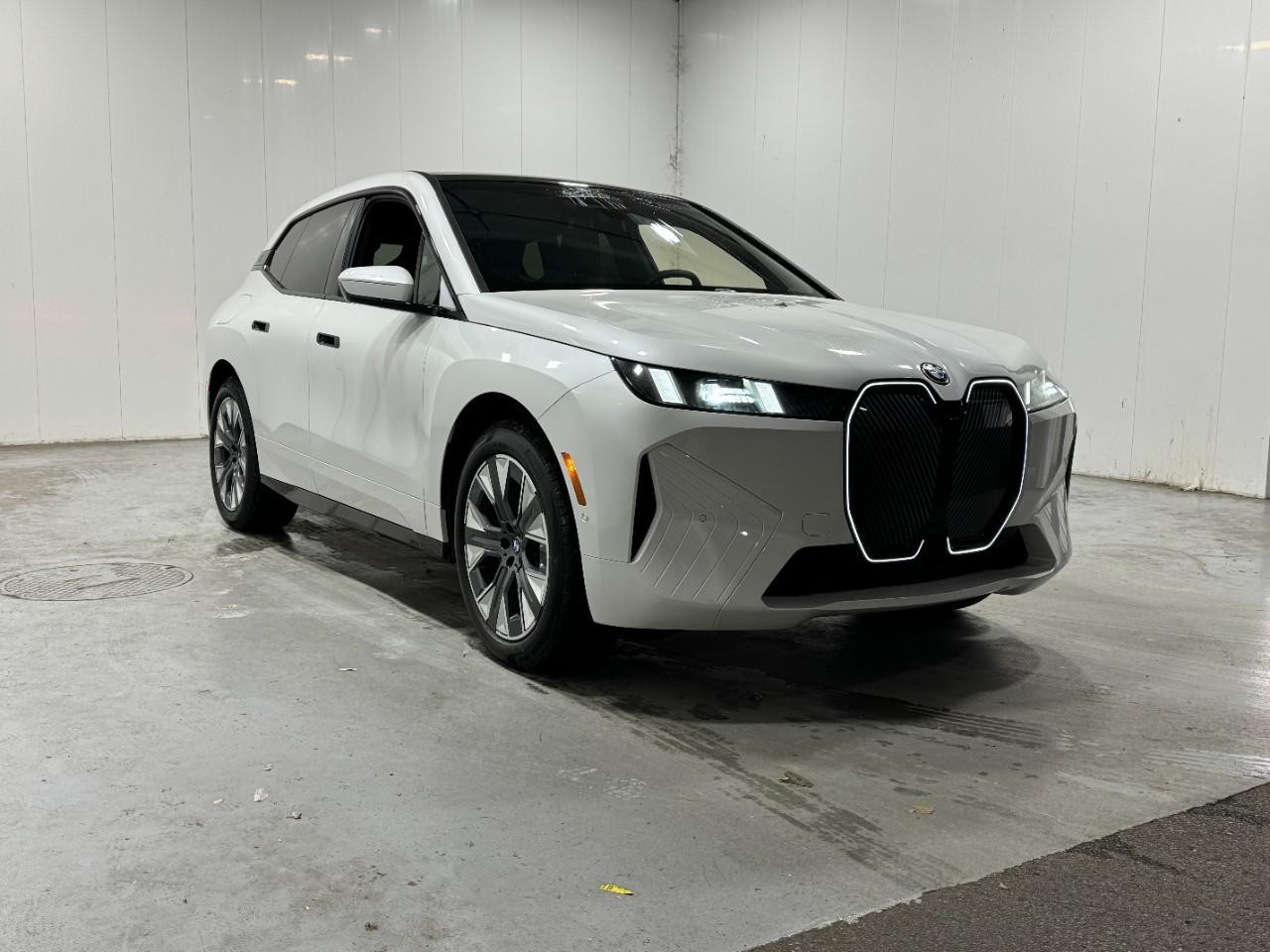 BMW iX Vehicle Full-screen Gallery Image 6