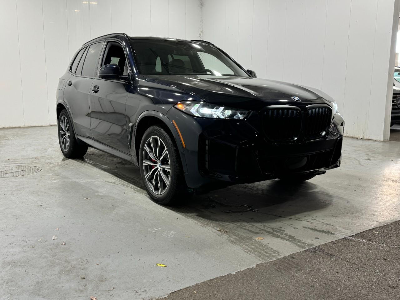 BMW X5 Vehicle Full-screen Gallery Image 6