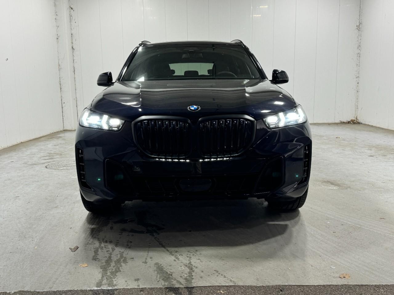 BMW X5 Vehicle Full-screen Gallery Image 7