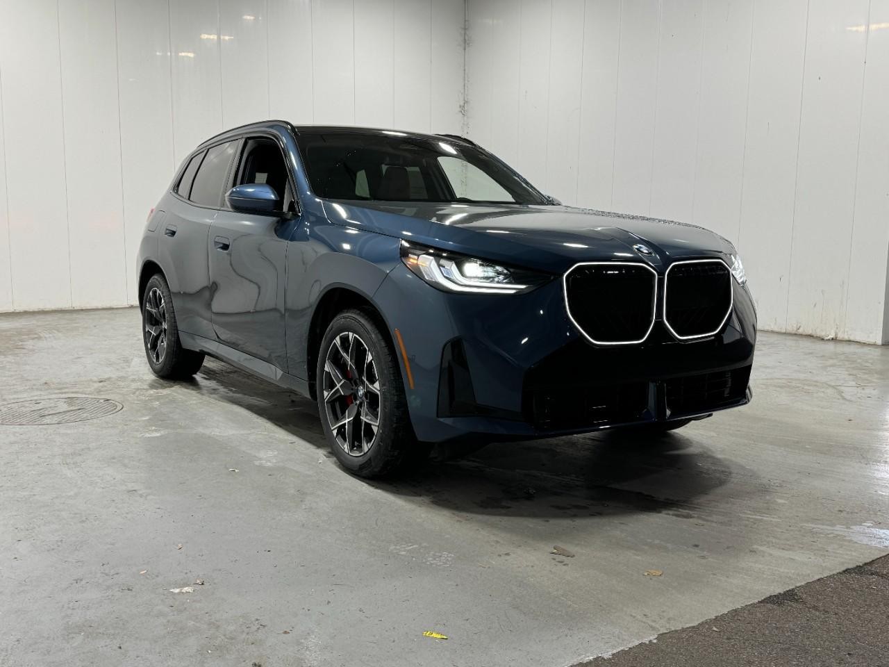 BMW X3 Vehicle Full-screen Gallery Image 6