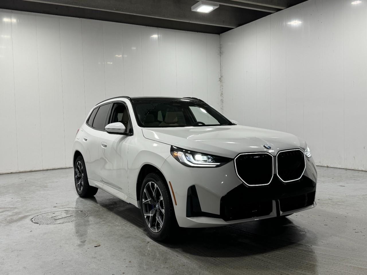 BMW X3 Vehicle Full-screen Gallery Image 6