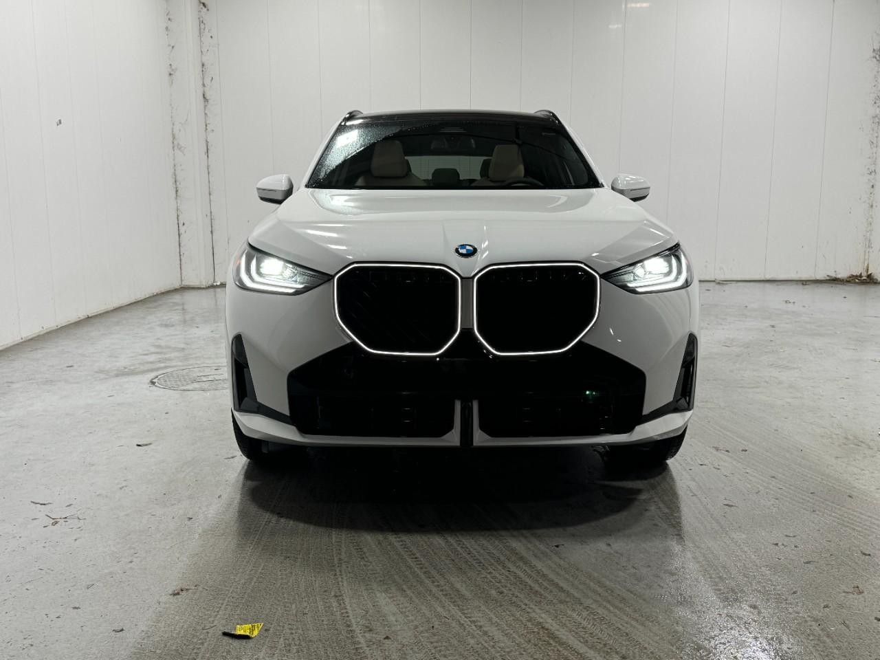 BMW X3 Vehicle Full-screen Gallery Image 7