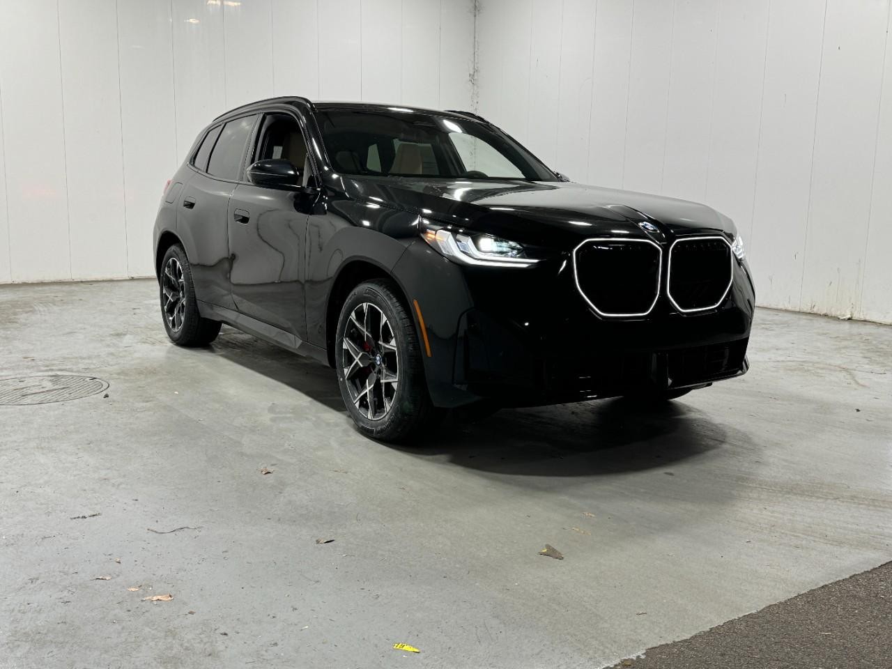 BMW X3 Vehicle Full-screen Gallery Image 6