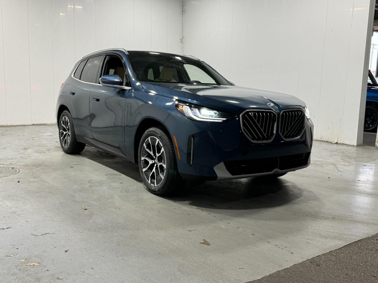 BMW X3 Vehicle Full-screen Gallery Image 6