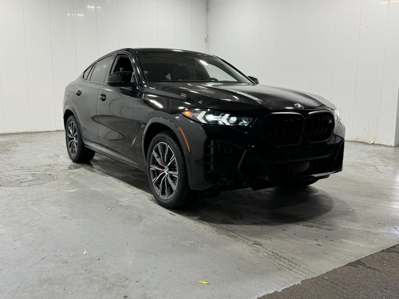 BMW X6 Vehicle Full-screen Gallery Image 6