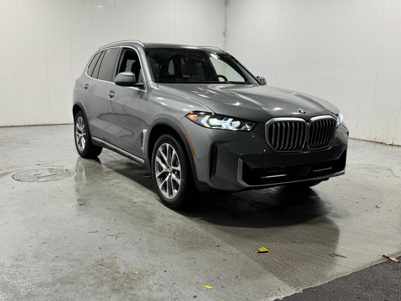 BMW X5 Vehicle Full-screen Gallery Image 6