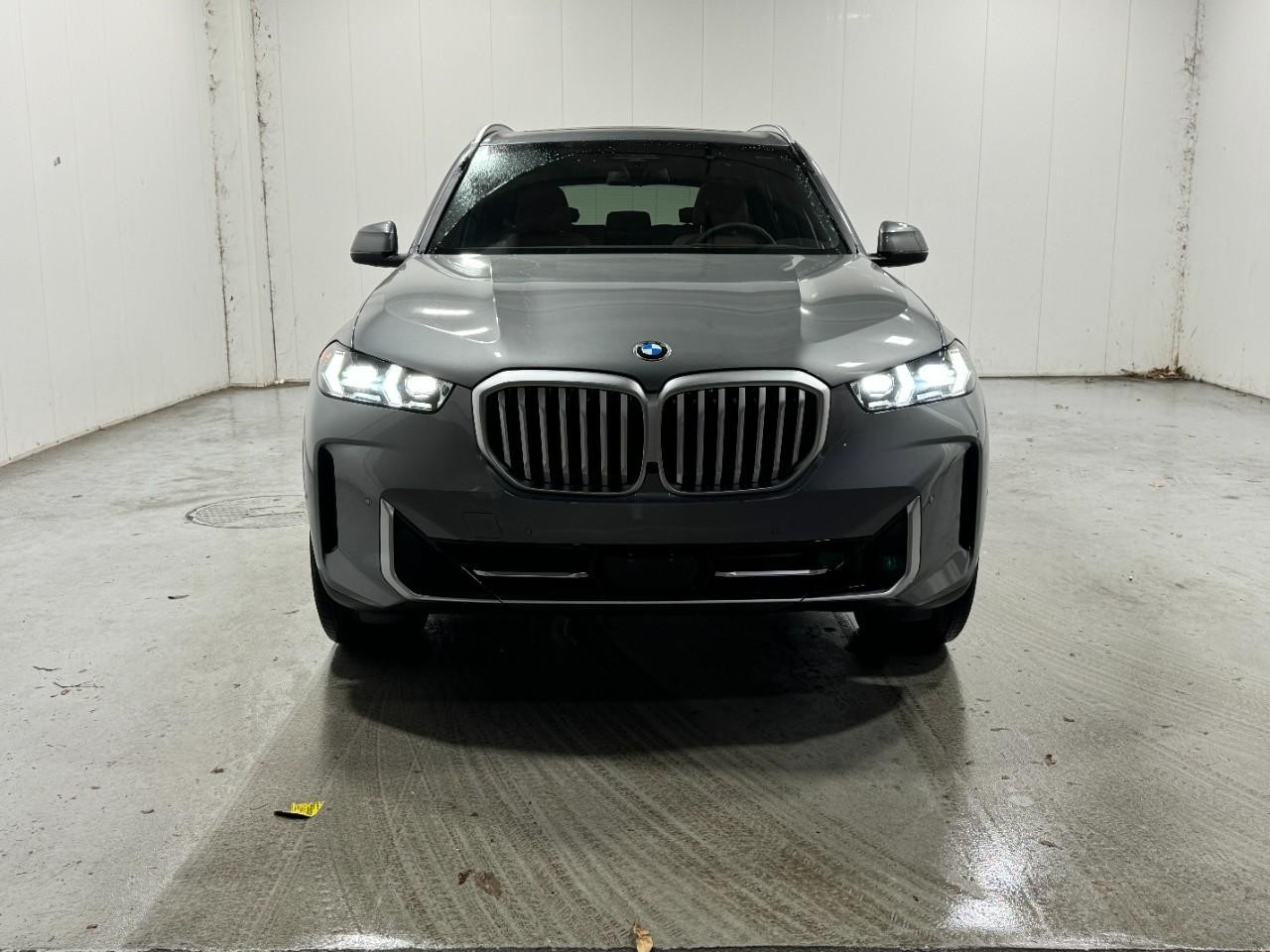 BMW X5 Vehicle Full-screen Gallery Image 7