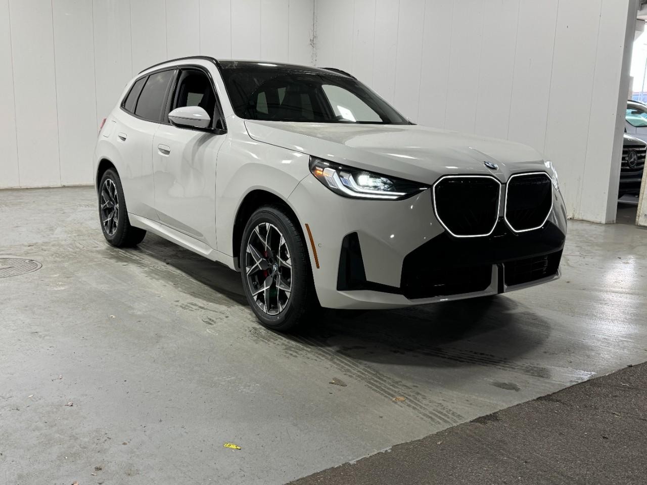 BMW X3 Vehicle Full-screen Gallery Image 6