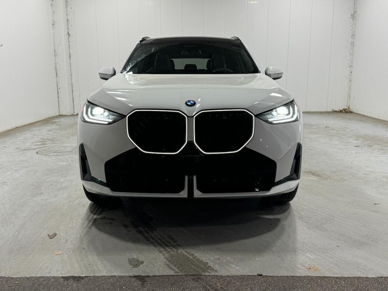 BMW X3 Vehicle Full-screen Gallery Image 7