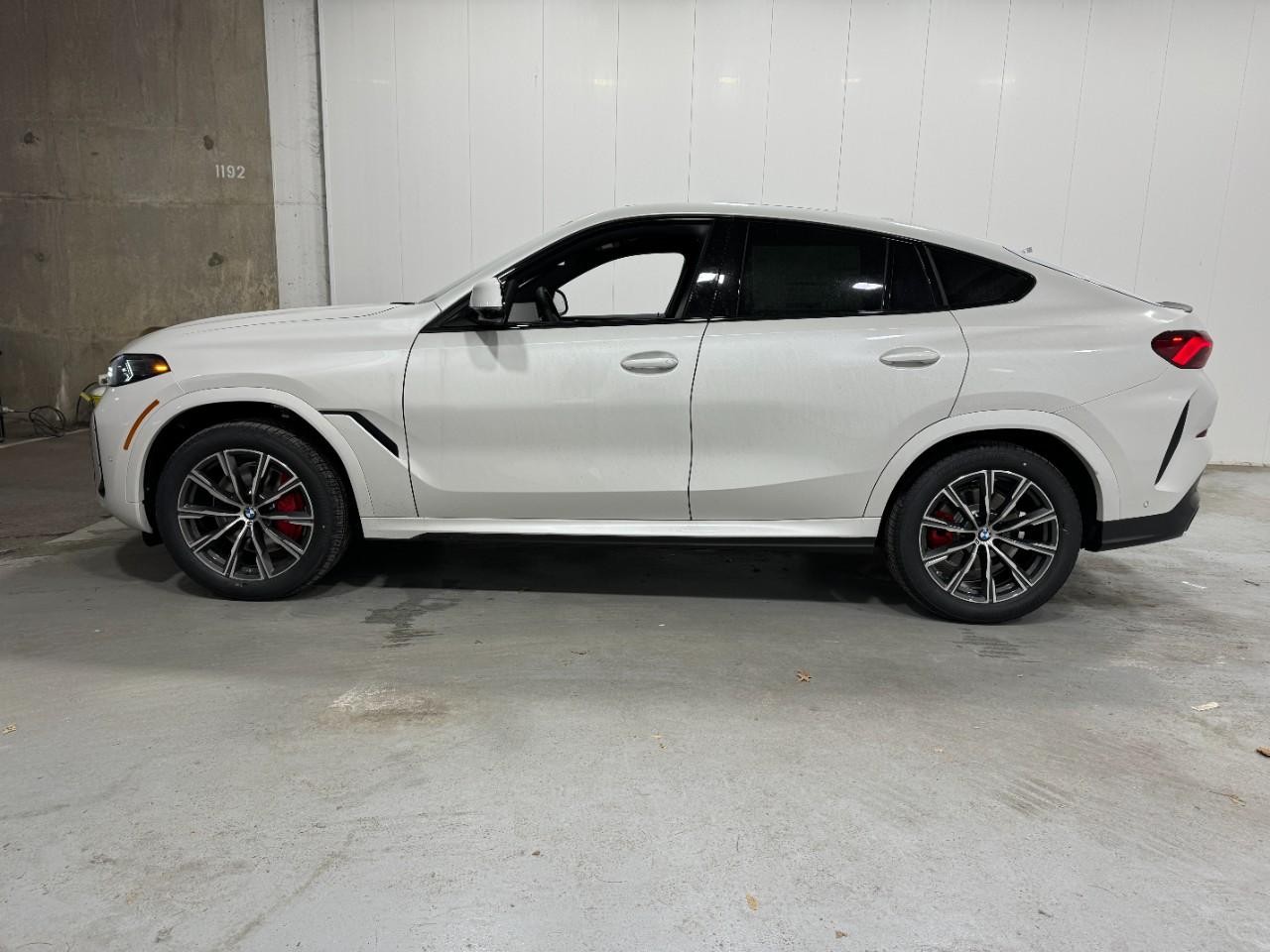 BMW X6 Vehicle Full-screen Gallery Image 2