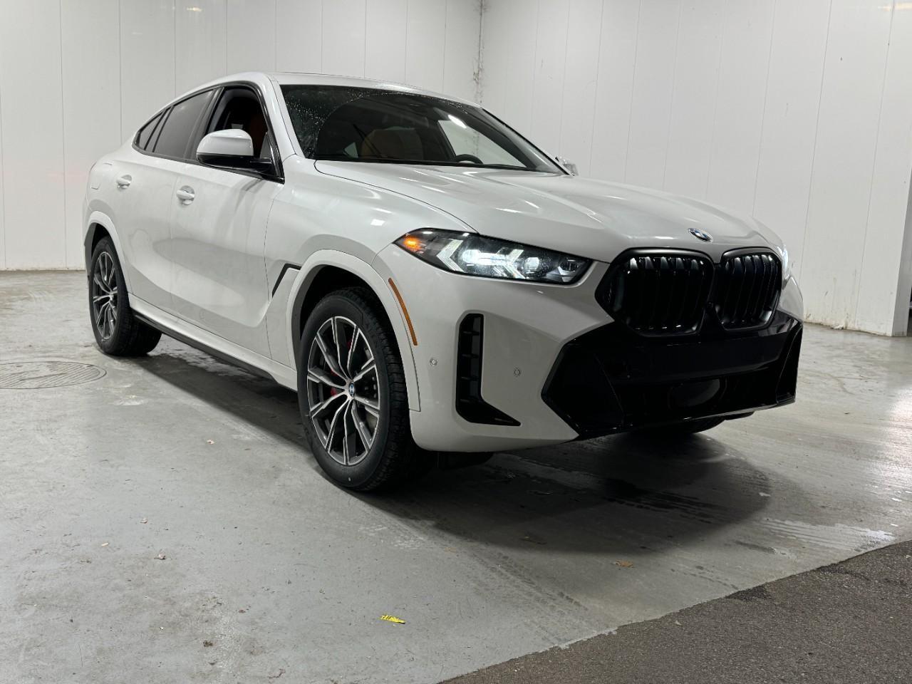 BMW X6 Vehicle Full-screen Gallery Image 6