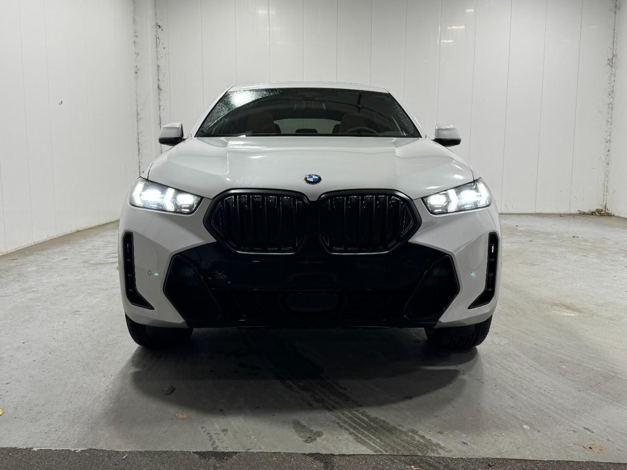 BMW X6 Vehicle Full-screen Gallery Image 7