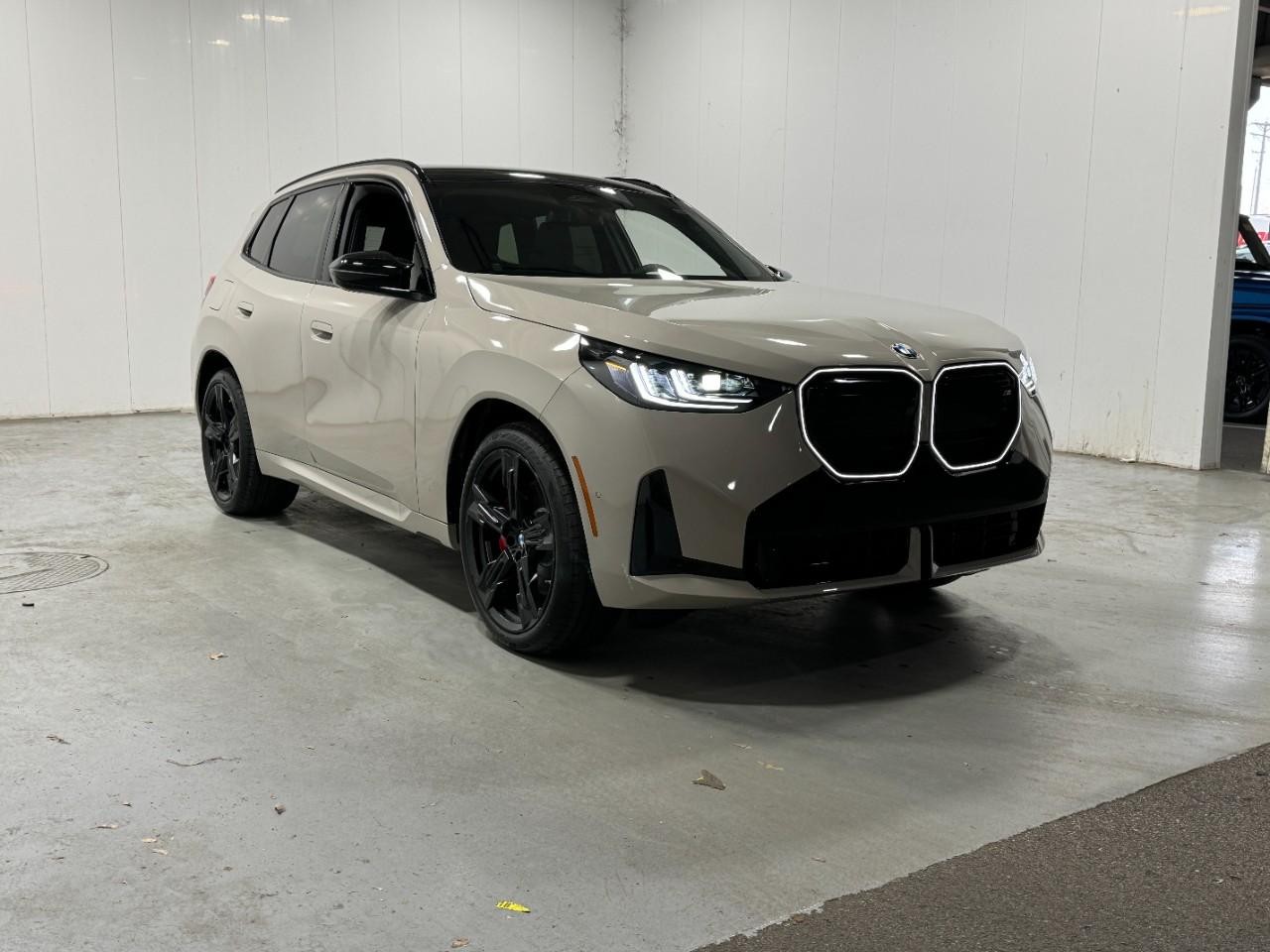BMW X3 Vehicle Full-screen Gallery Image 6