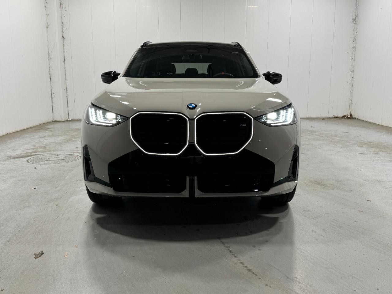 BMW X3 Vehicle Full-screen Gallery Image 7