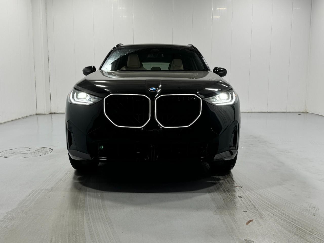 BMW X3 Vehicle Full-screen Gallery Image 7