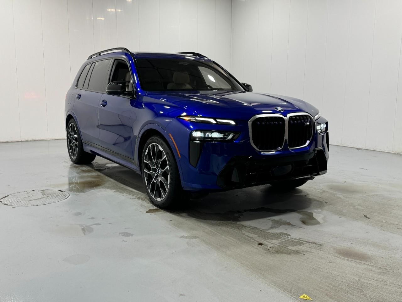 BMW X7 Vehicle Full-screen Gallery Image 6