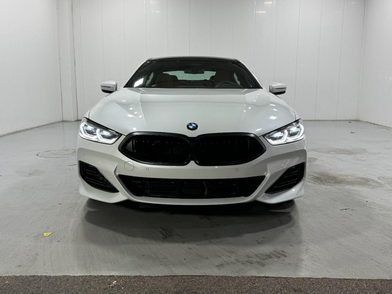 BMW 8 Series Vehicle Full-screen Gallery Image 7