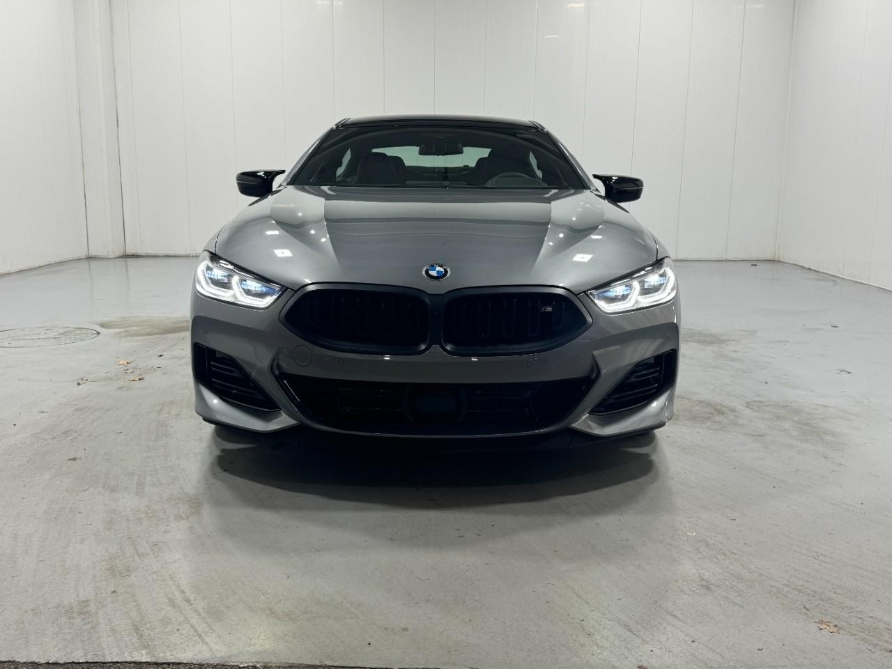 BMW 8 Series Vehicle Full-screen Gallery Image 7