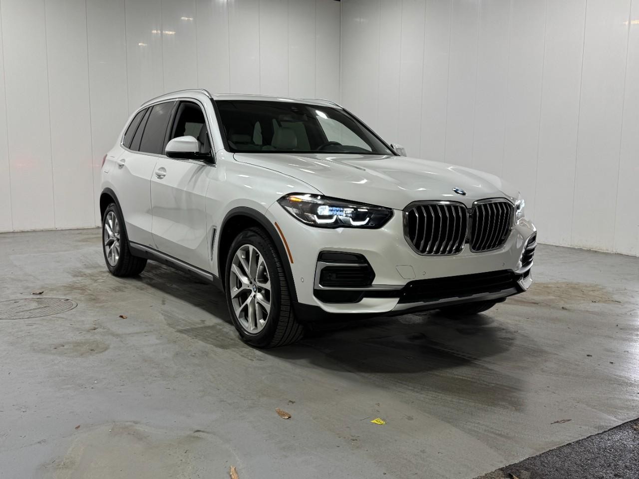 BMW X5 Vehicle Full-screen Gallery Image 6
