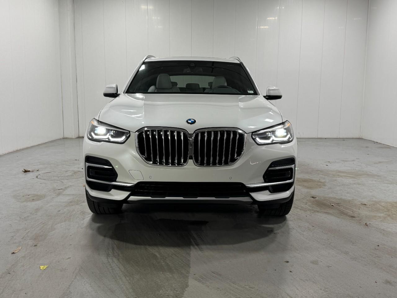 BMW X5 Vehicle Full-screen Gallery Image 7