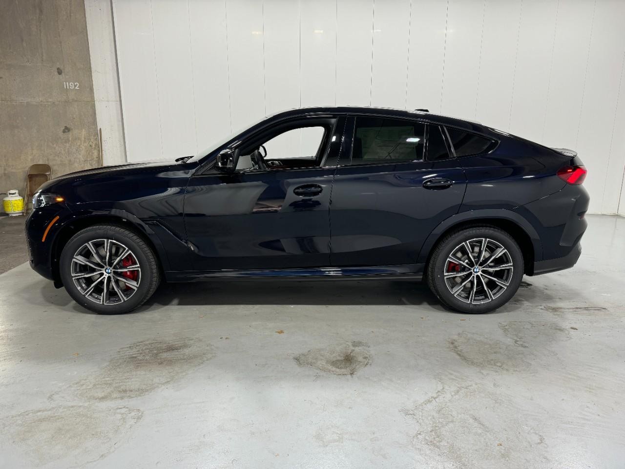 BMW X6 Vehicle Full-screen Gallery Image 2