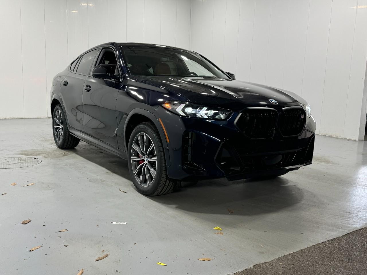 BMW X6 Vehicle Full-screen Gallery Image 6