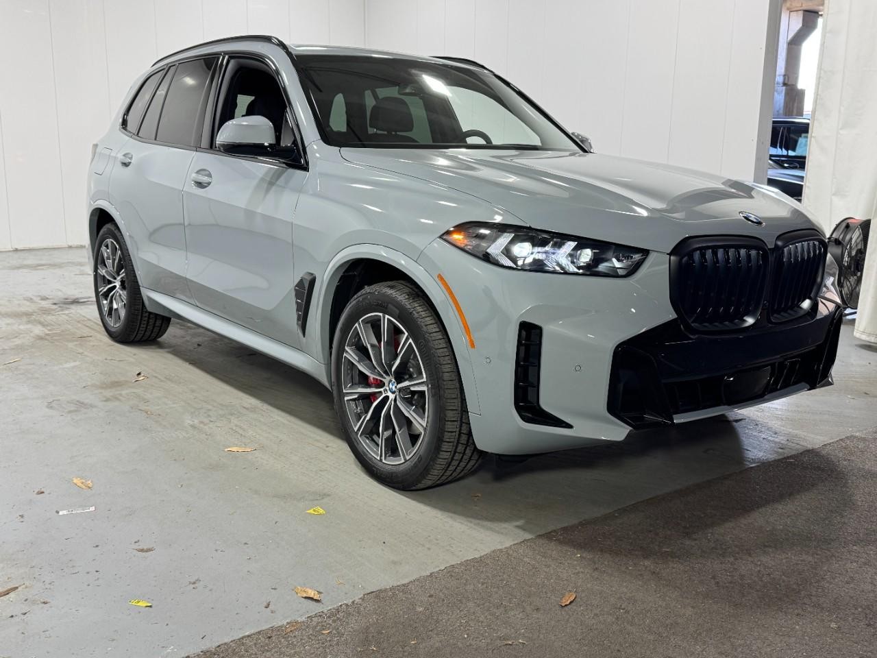 BMW X5 Vehicle Full-screen Gallery Image 7