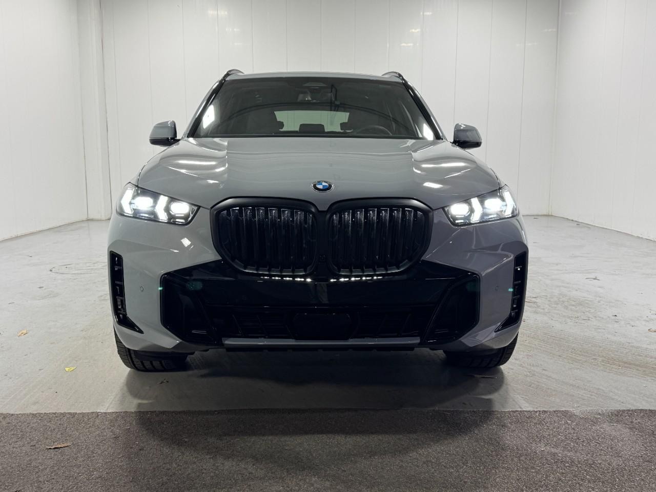 BMW X5 Vehicle Full-screen Gallery Image 8