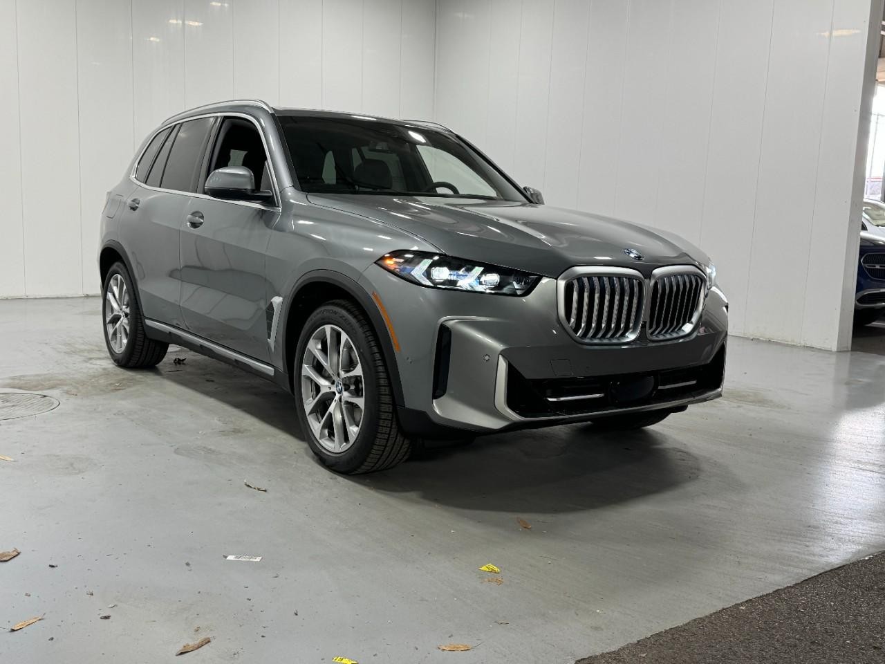 BMW X5 Vehicle Full-screen Gallery Image 6