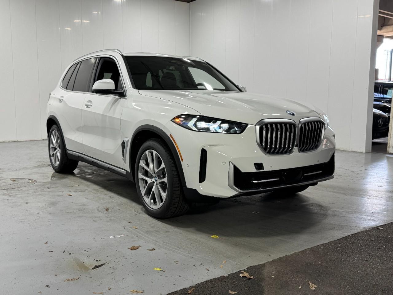 BMW X5 Vehicle Full-screen Gallery Image 6