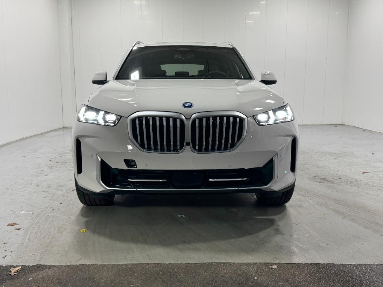 BMW X5 Vehicle Full-screen Gallery Image 7